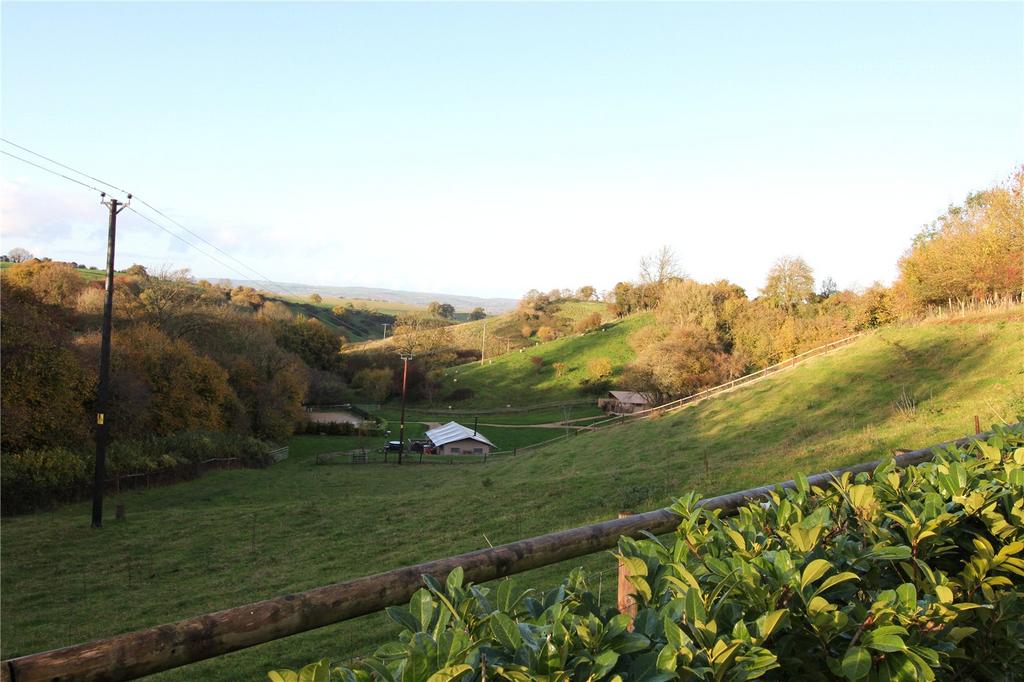 Middle Paddock
