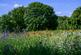 Additional image 16 of Plumstead, London, SE28 0FA, London SE28