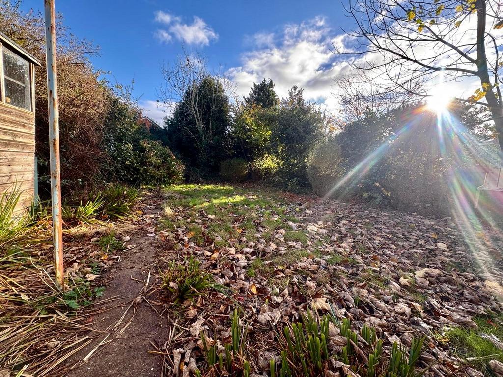 Garden