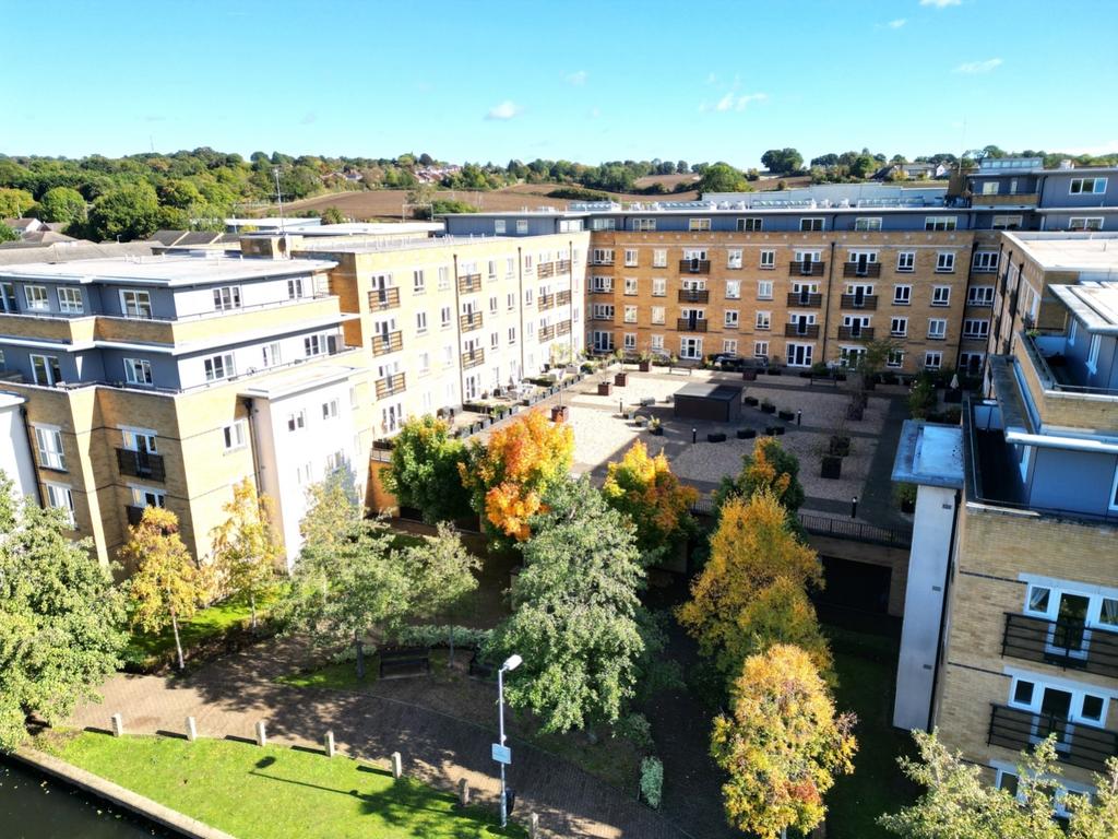 Rear Aspect of development