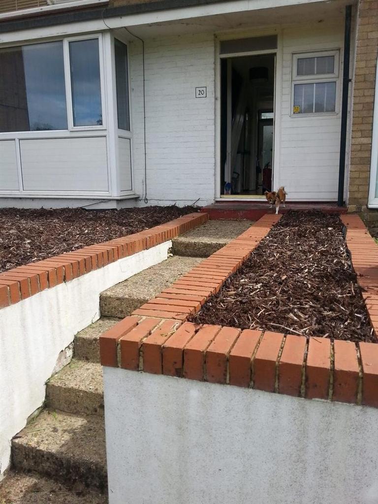 Steps