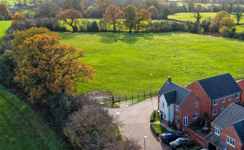 DJI 20251113124124 0094 D.jpg