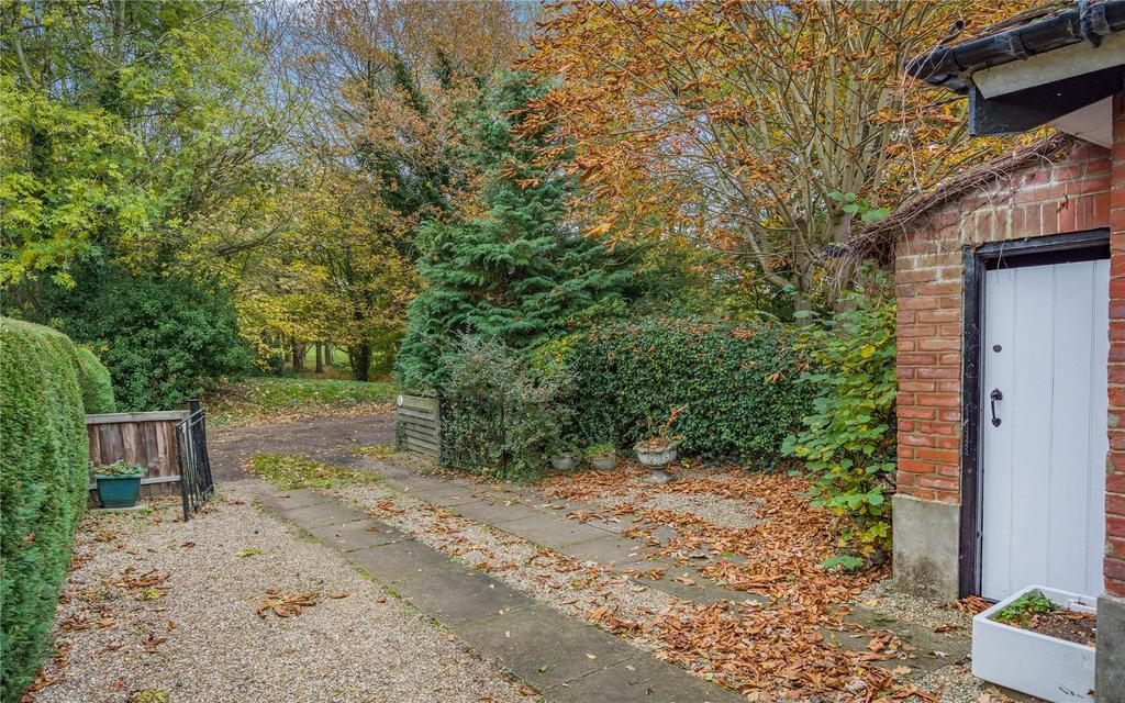 Driveway