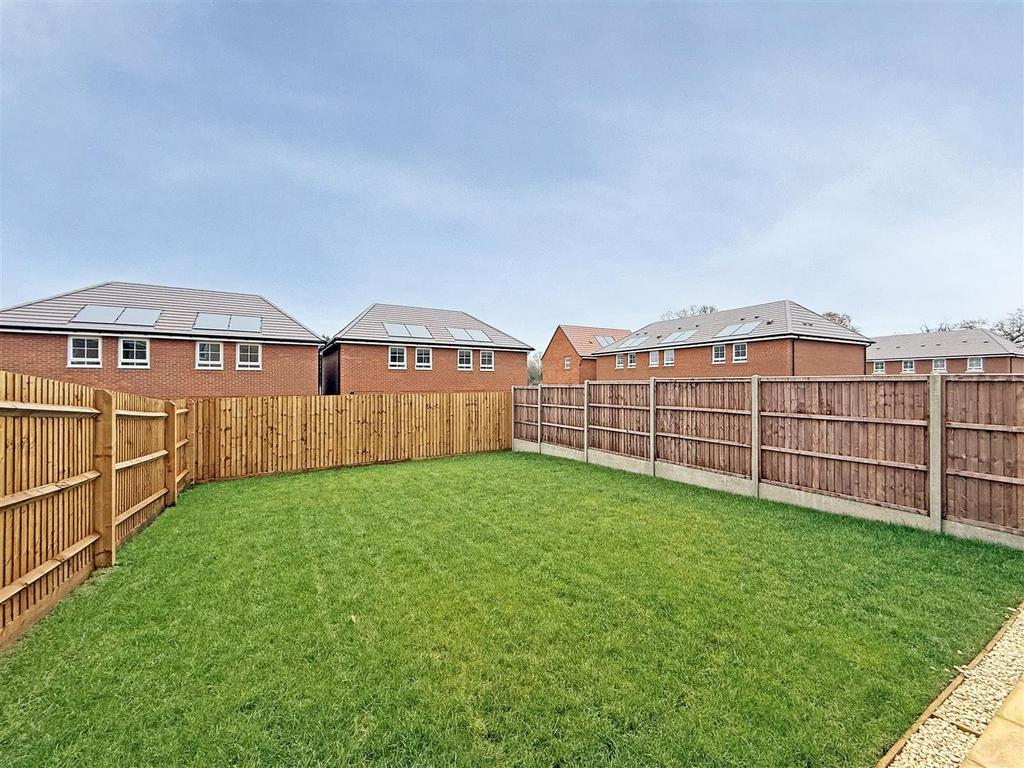 IMG 7036.jpg