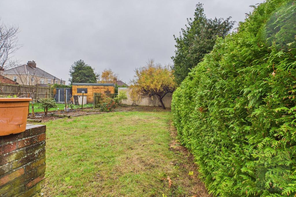 Back Garden