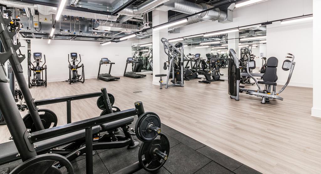 Gym 2