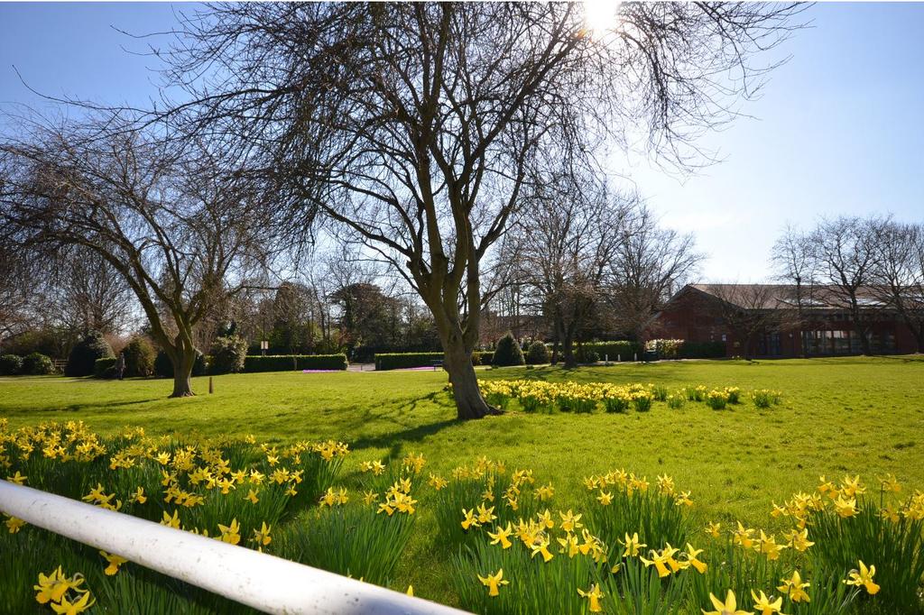 Burnham Park