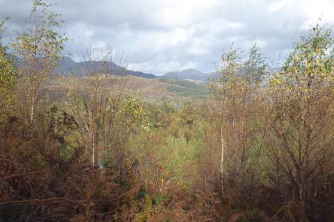 undefined, Coed Madog, Maentwrog, near Porthmadog, Gwynedd LL41
