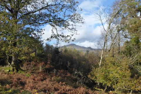 undefined, Coed Madog, Maentwrog, near Porthmadog, Gwynedd LL41