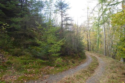 undefined, Coed Madog, Maentwrog, near Porthmadog, Gwynedd LL41
