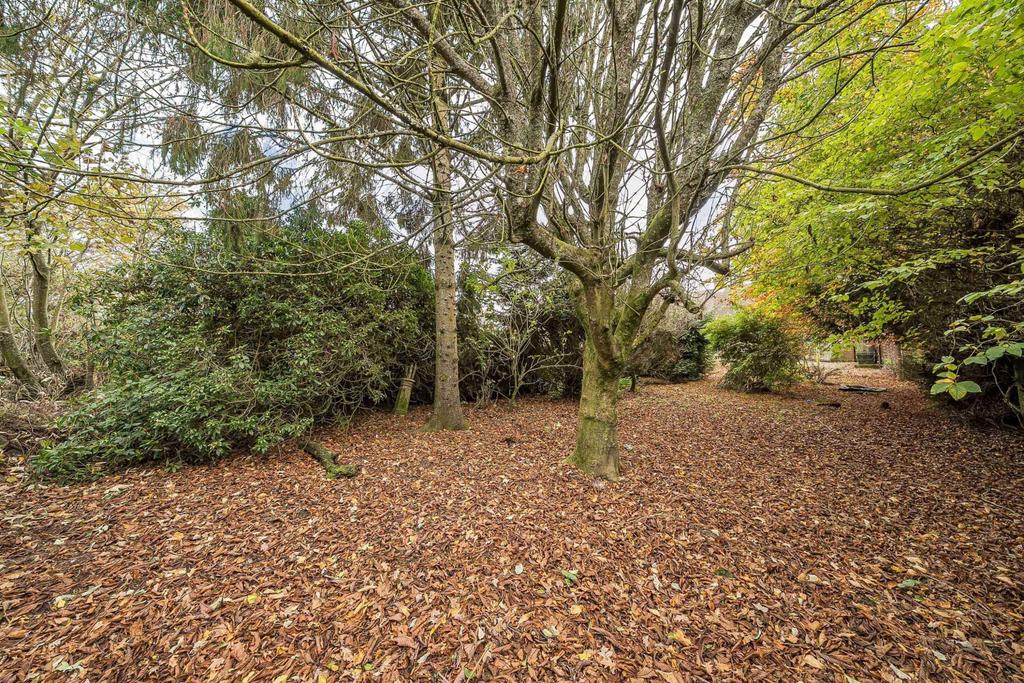 Rear of Property