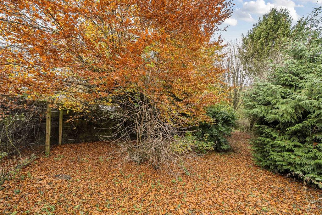 Rear of Property