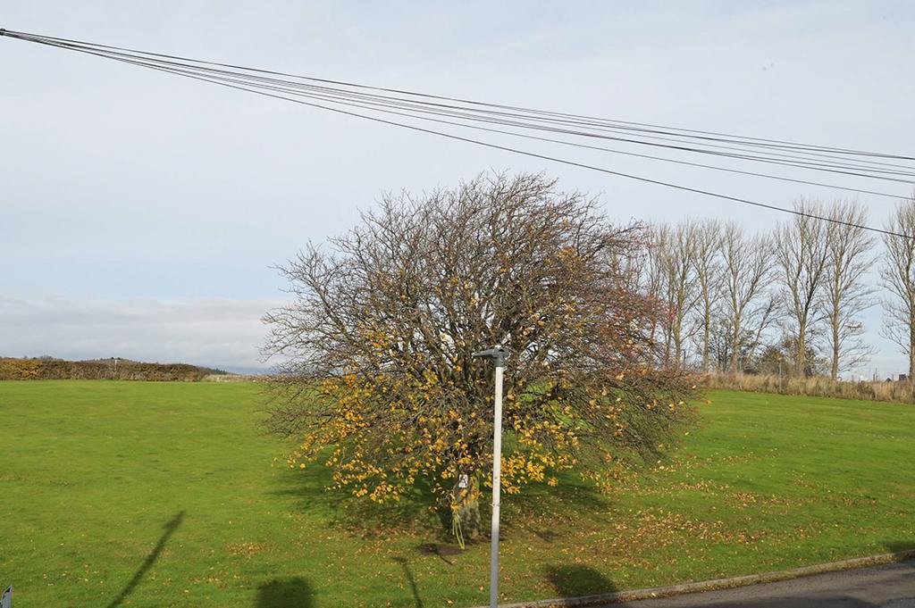 MFL2247707 979.jpg