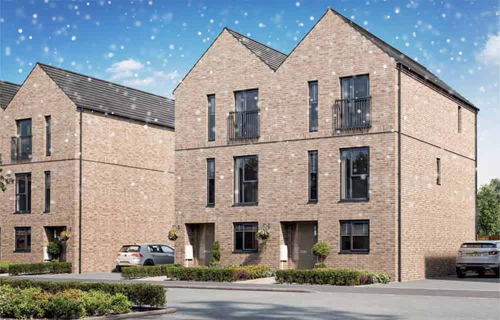 Stirling Fields - Harvard-snow