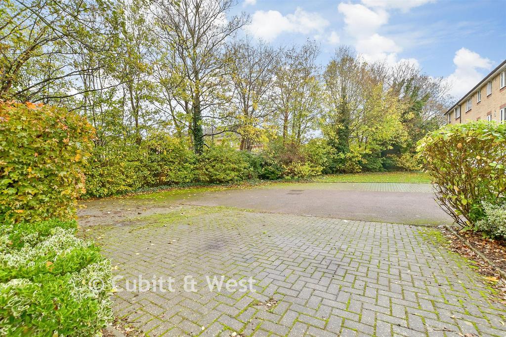 Driveway/Parking