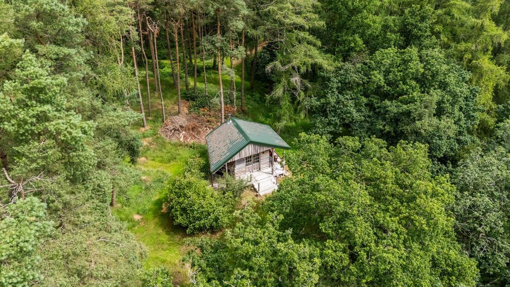 Cabin in the Woods