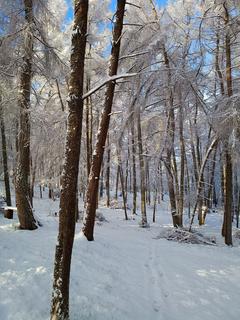 undefined, Little Hall, Llandovery SA20