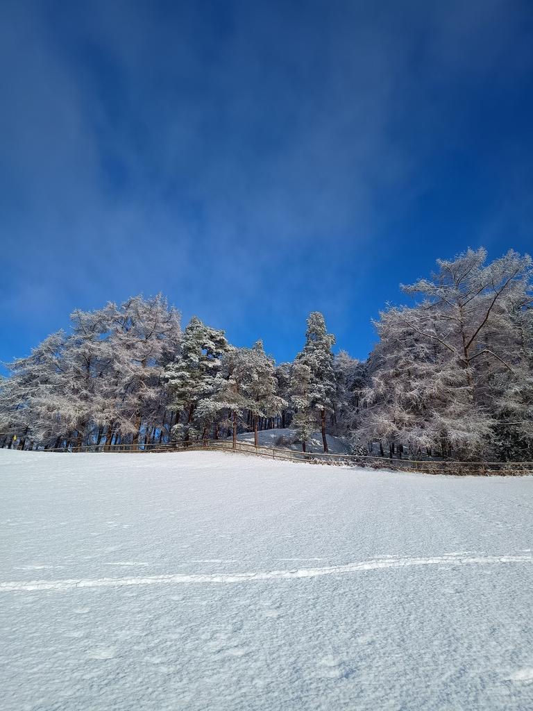 Spectacular on a snow day!