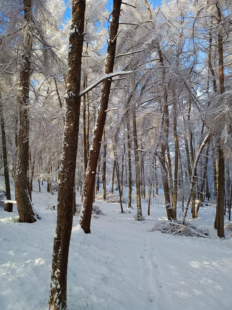 Stunning in the snow!