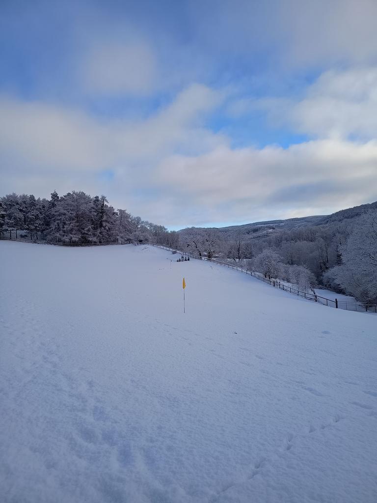 Serenity in the snow