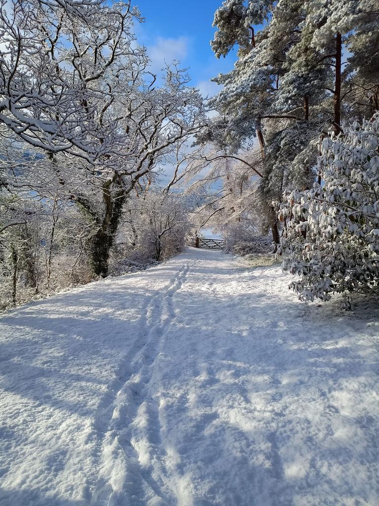 Stunning in the snow!