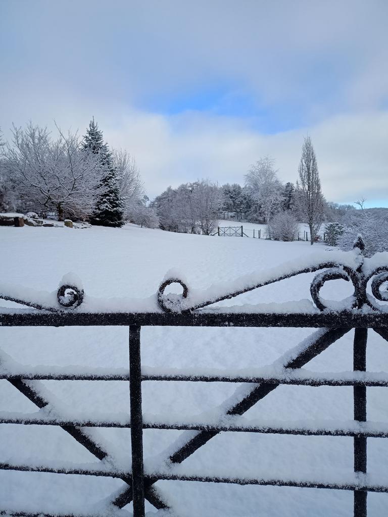 Serenity in the snow
