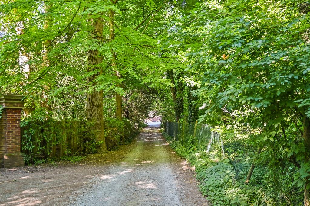 Driveway