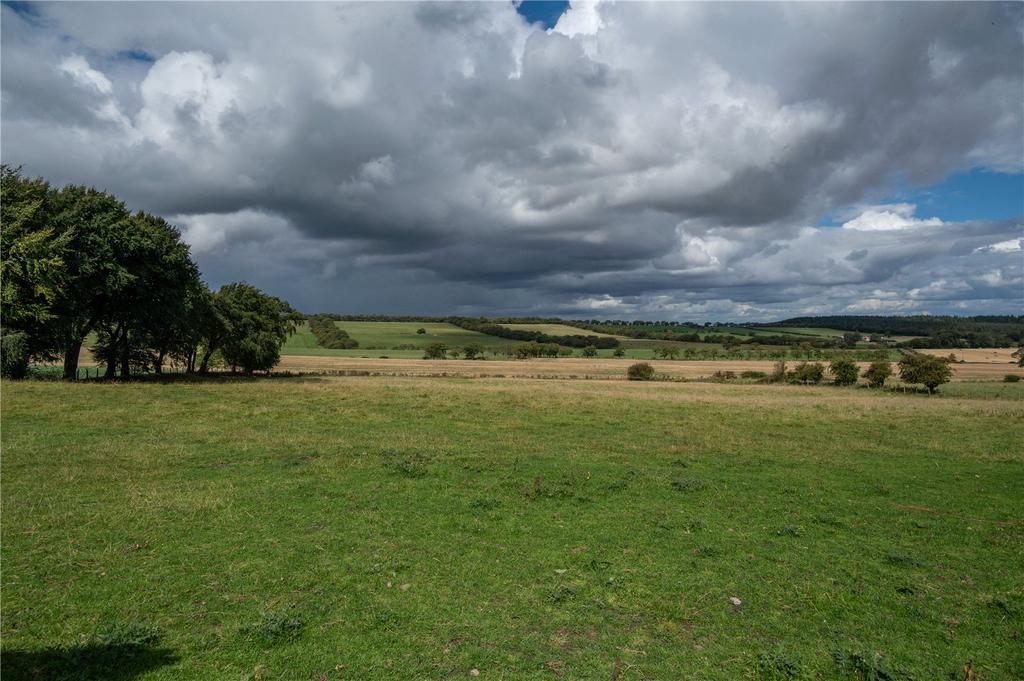Land