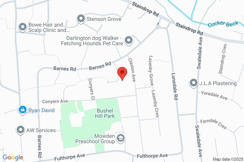 Google Maps Image