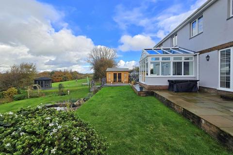 undefined, Meadow Park, Shebbear