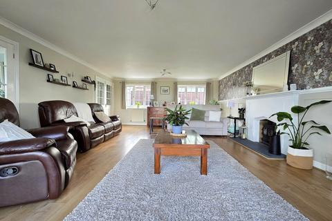 undefined, Meadow Park, Shebbear