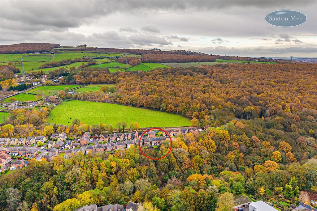 DJI 20251110114915 0926 D copy.jpg