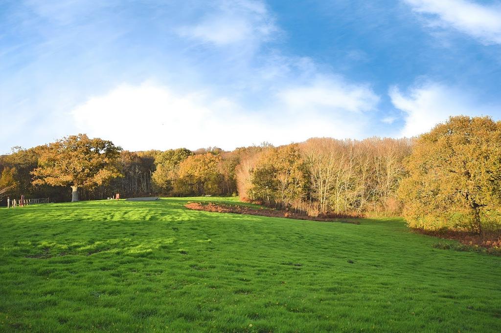 Surrounding Grounds