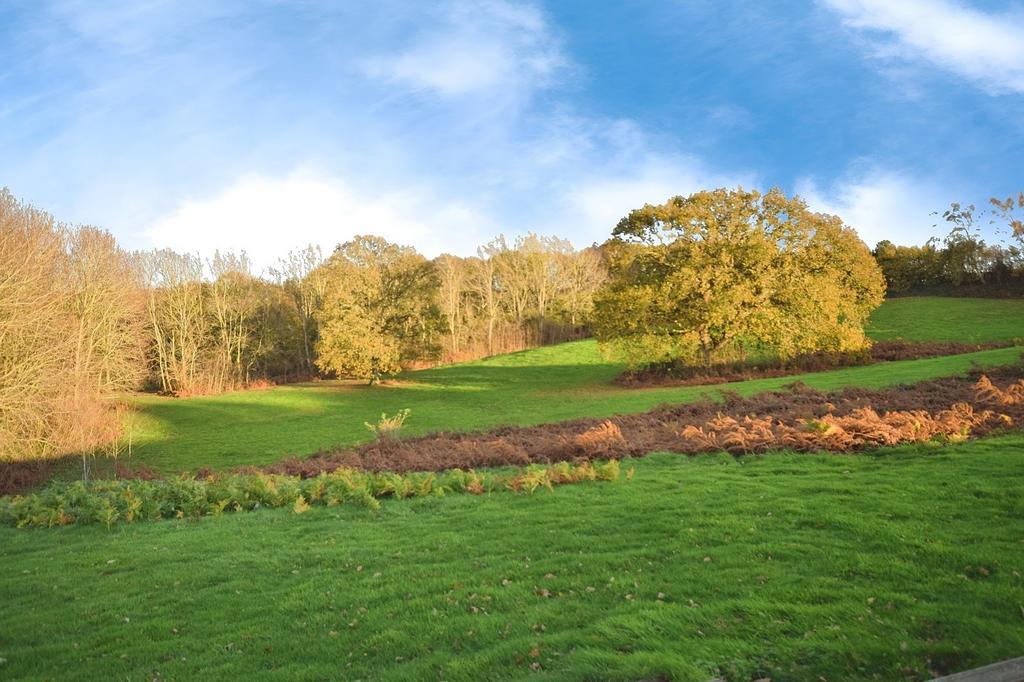 Surrounding Grounds