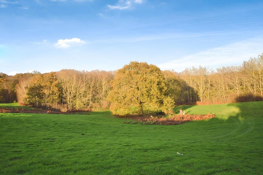 Surrounding Grounds