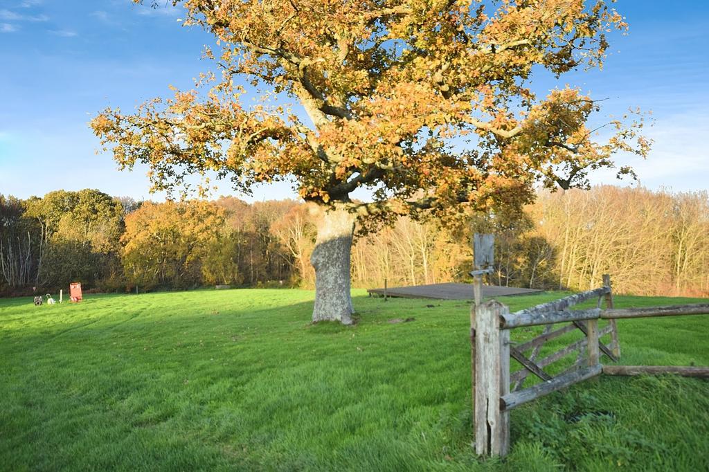 Surrounding Grounds