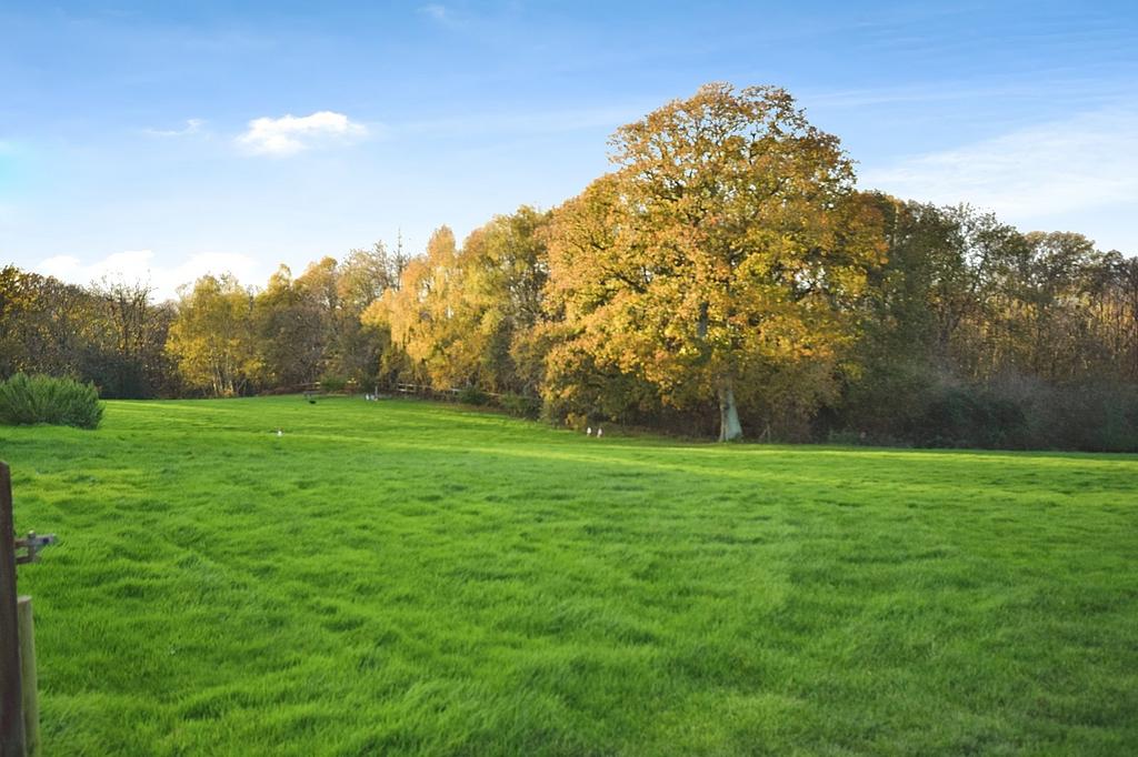 Surrounding Grounds