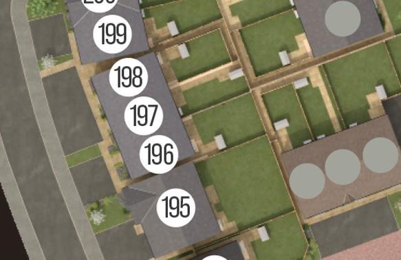 197.jpg