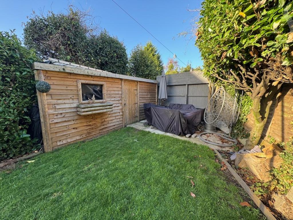 62 Elmfield Road Garden.jpeg