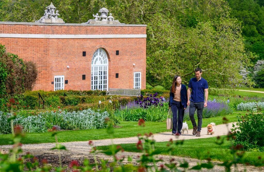 Garden view, garden