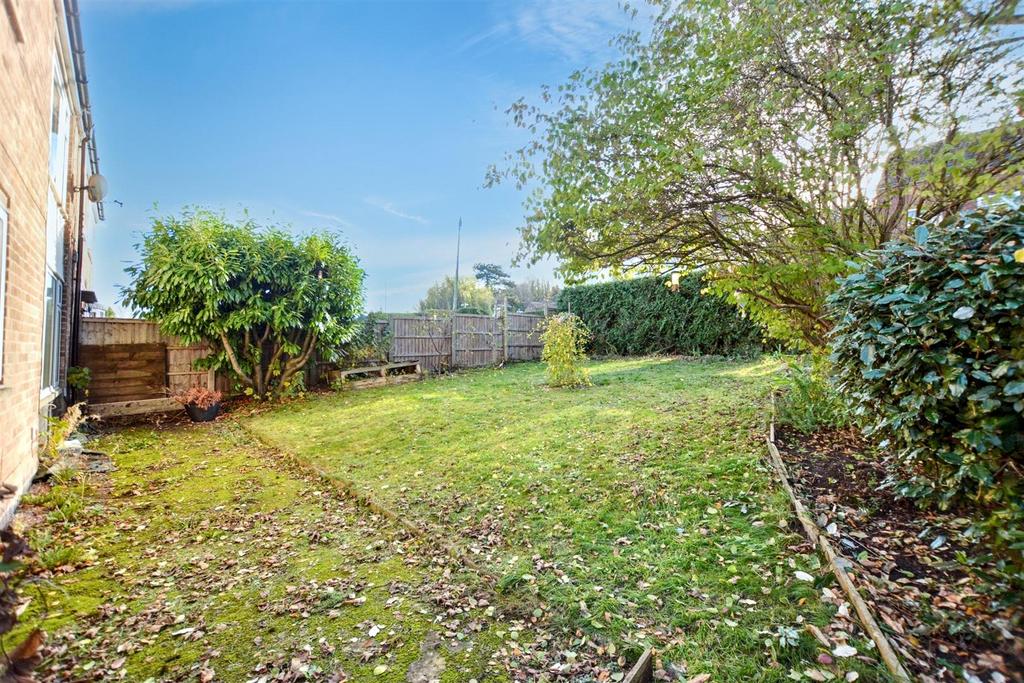 Garden 3.jpeg