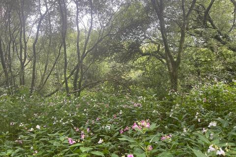 undefined, Land Rear of Heol Faen, Mission Road Maesteg, CF34 0ND