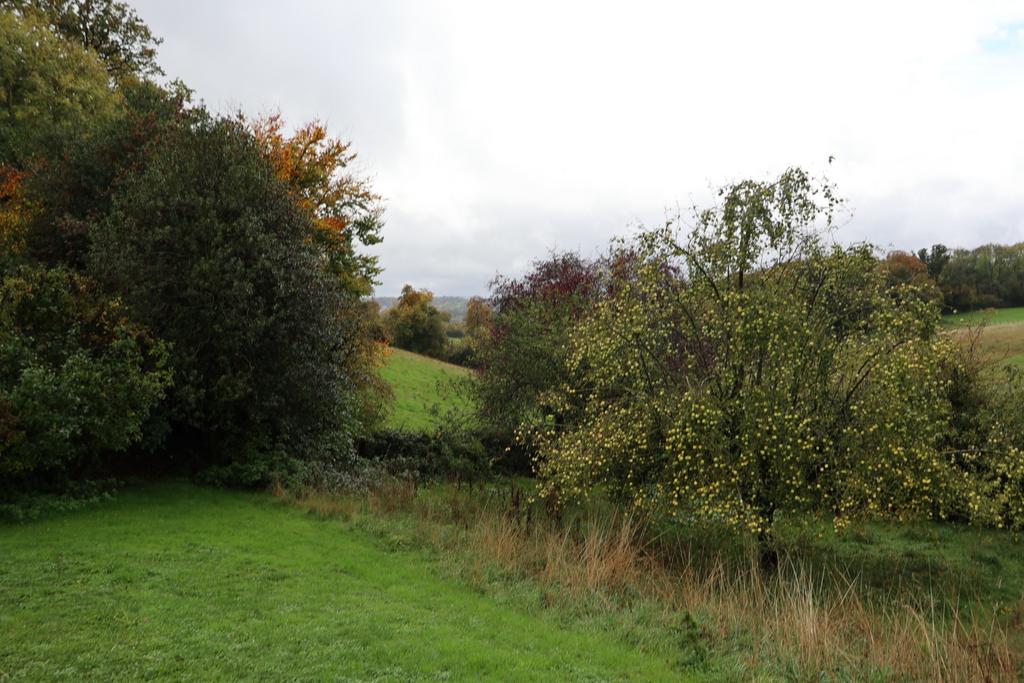 Picture No. 21
