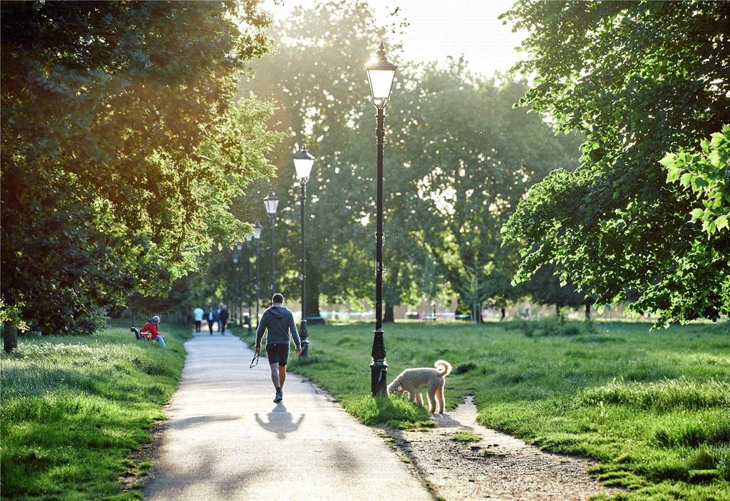 Local Area Photograp