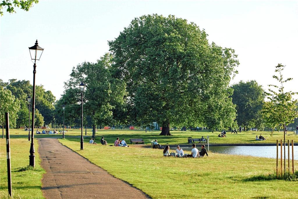 Local Area Photograp