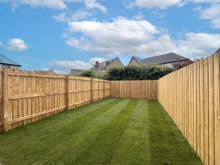Back Garden