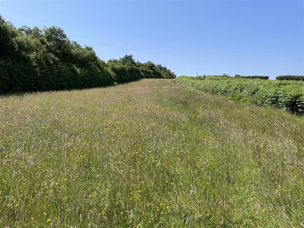 Lot 4