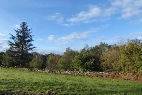 undefined, Coed Gwinllan Tyddyn, Penygroes, Gwynedd LL54