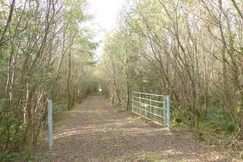 undefined, Coed Gwinllan Tyddyn, Penygroes, Gwynedd LL54