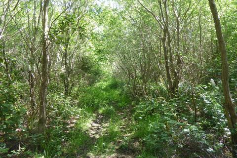 undefined, Coed Gwinllan Tyddyn, Penygroes, Gwynedd LL54